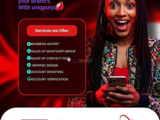 uniq-purple-the-kingmaker-cac-registration-global-account-verification-nigeria